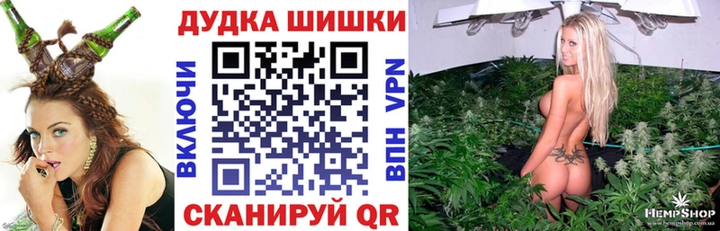 Конопля сатива  Тара 