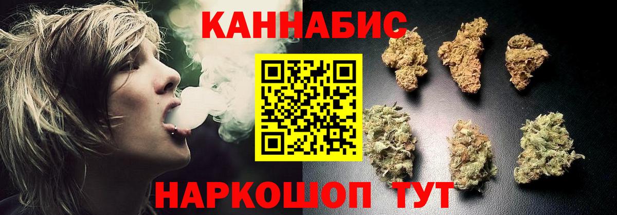Каннабис планчик Тара